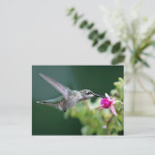 Hovering Hummingbird Briefkaart (Staand voorkant)