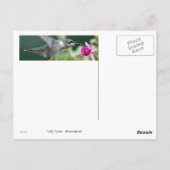 Hovering Hummingbird Briefkaart (Achterkant)