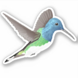 Hovering Jacobin Hummingbird - 1x douane cut. Sticker