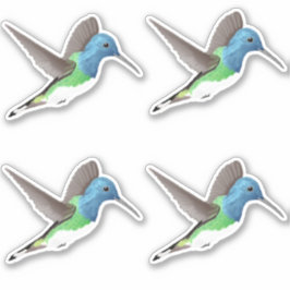 Hovering Jacobin Hummingbird - 4x op maat gesneden Sticker