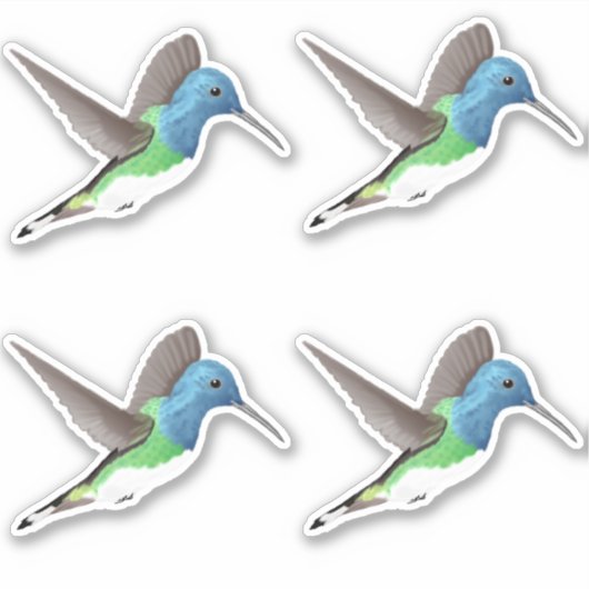 Hovering Jacobin Hummingbird - 4x op maat gesneden Sticker (Voorkant)