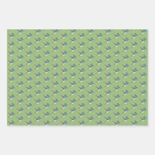 Hovering Jacobin Hummingbird - transp. 3 schoppen. Inpakpapier Vel (Voorkant)