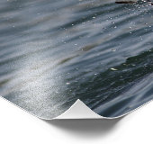 Hovering Kittiwake Foto Afdruk (Hoek)