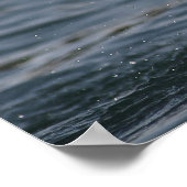 Hovering Kittiwake Poster (Hoek)