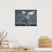 Hovering Kittiwake Poster (Keuken)