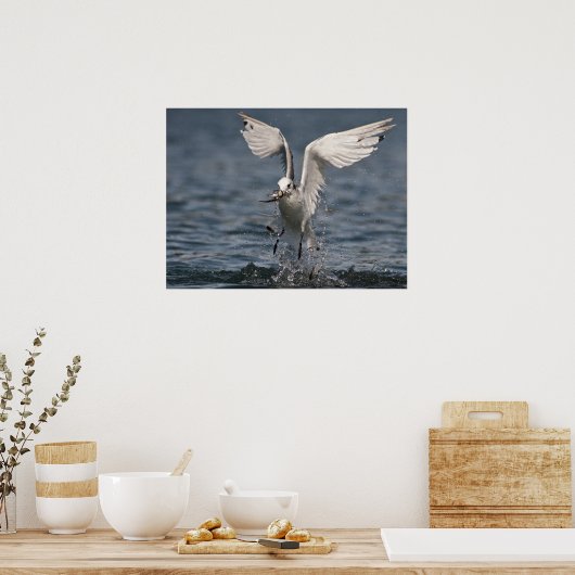 Hovering Kittiwake Poster (Keuken)