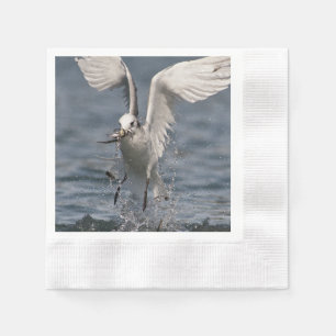 Hovering Kittiwake Servet