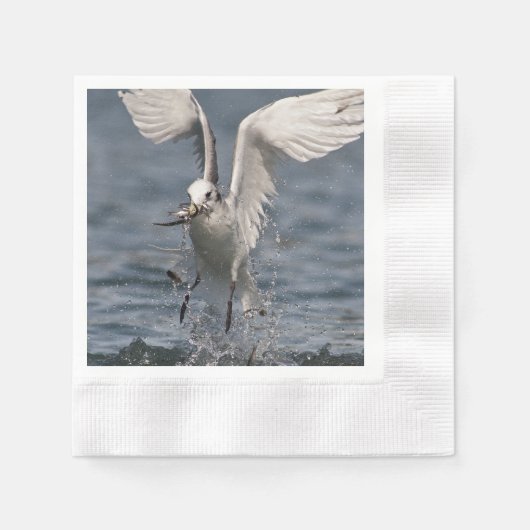 Hovering Kittiwake Servet (Voorkant)