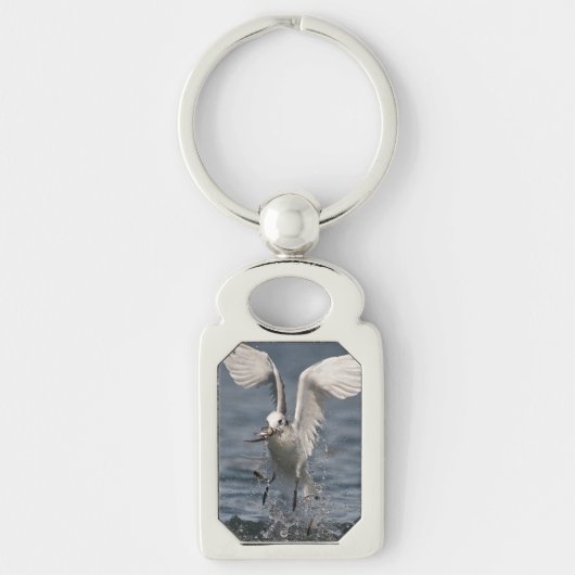 Hovering Kittiwake Sleutelhanger (Voorkant)