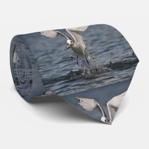 Hovering Kittiwake Stropdas