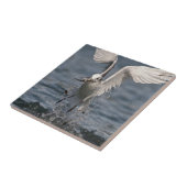 Hovering Kittiwake Tegeltje (Zijkant)