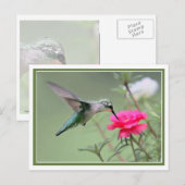 Hovering Lunch Briefkaart (Voorkant / Achterkant)