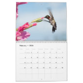Hovering van levende vogels 2015 kalender (Feb 2026)