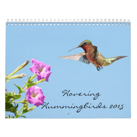 Hovering van levende vogels 2015 kalender (Hoes)