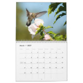 Hovering van levende vogels 2015 kalender (Mar 2027)