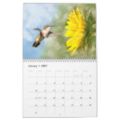 Hovering van levende vogels 2015 kalender (Jan 2027)