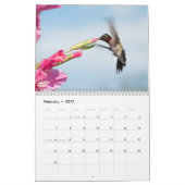 Hovering van levende vogels 2015 kalender (Feb 2027)
