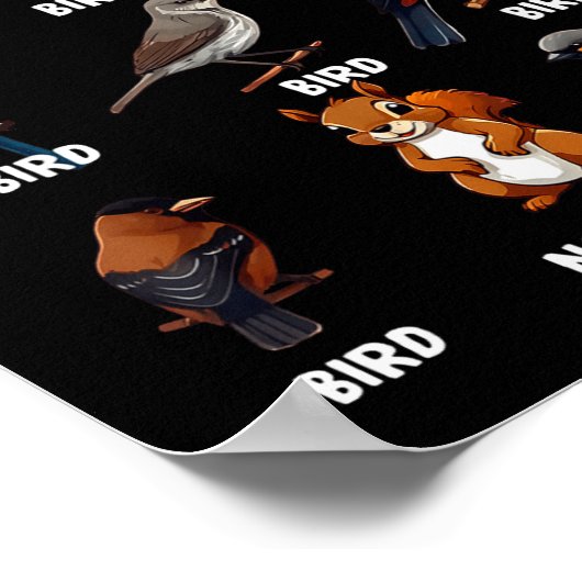 How To Identify Birds Funny Birds Identification B Poster (Hoek)