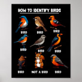 How To Identify Birds Funny Birds Identification B Poster (Voorkant)