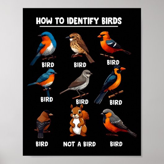 How To Identify Birds Funny Birds Identification B Poster (Voorkant)