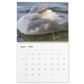 HOW TO SCRATCH AN ITCH by A. Gray Duck 2026 Kalender (Mar 2026)