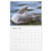 HOW TO SCRATCH AN ITCH by A. Gray Duck 2026 Kalender (Feb 2027)