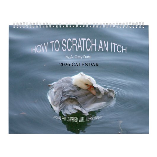 HOW TO SCRATCH AN ITCH by A. Gray Duck 2026 Kalender (Hoes)