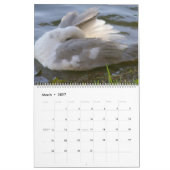 HOW TO SCRATCH AN ITCH by A. Gray Duck 2026 Kalender (Mar 2027)