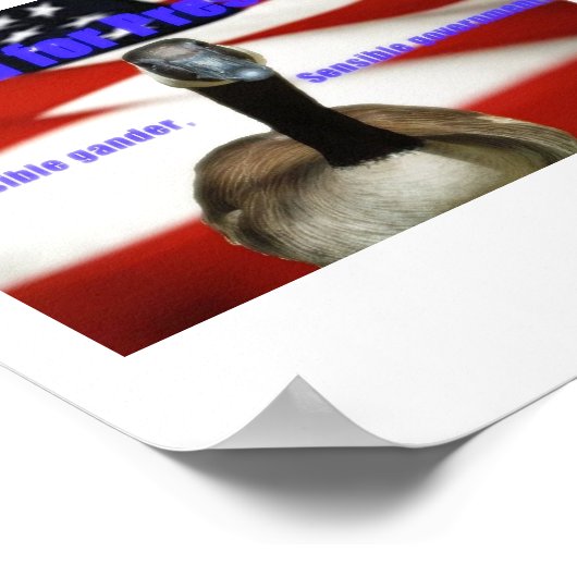 Howard voor President 2012 Poster (Hoek)