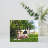 "Howdy & Buckeroo"  Briefkaart (Staand voorkant)