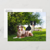 "Howdy & Buckeroo"  Briefkaart (Voorkant / Achterkant)