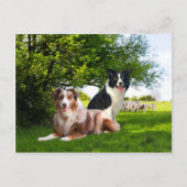 "Howdy & Buckeroo" Briefkaart (Voorkant)