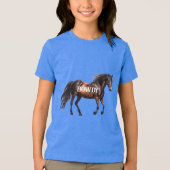 Howdy Horse Tri-Blend Shirt (Voorkant)