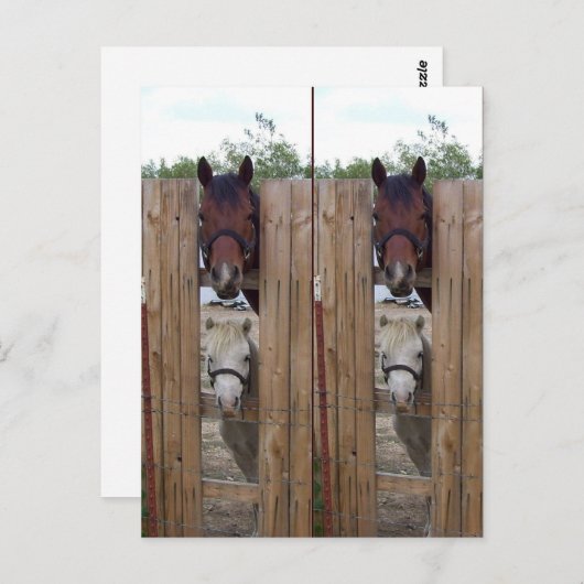 Howdy-Howdy Horse Bookmarkers Briefkaart (Voorkant / Achterkant)