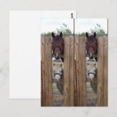 Howdy-Howdy Horse Bookmarkers Briefkaart (Voorkant / Achterkant)