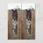 Howdy-Howdy Horse Bookmarkers Briefkaart (Voorkant)