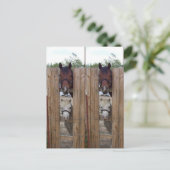 Howdy-Howdy Horse Bookmarkers Briefkaart (Staand voorkant)