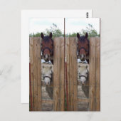 Howdy-Howdy Horse Bookmarkers Briefkaart (Voorkant / Achterkant)