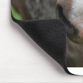 Howdy! Muismat (Hoek)