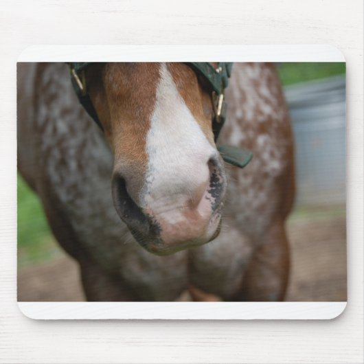 Howdy! Muismat (Voorkant)