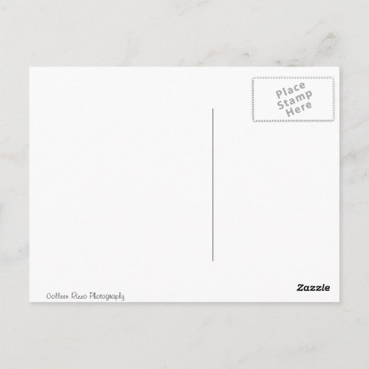 Howdy van Tennessee Mule Briefkaart (Achterkant)