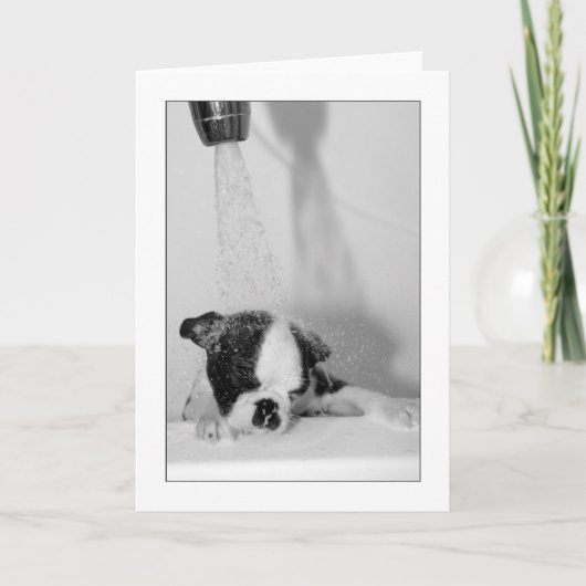 Howie in het Bad Kaart (Voorkant)