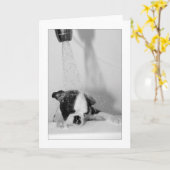 Howie in het Bad Kaart (Gele Bloem)