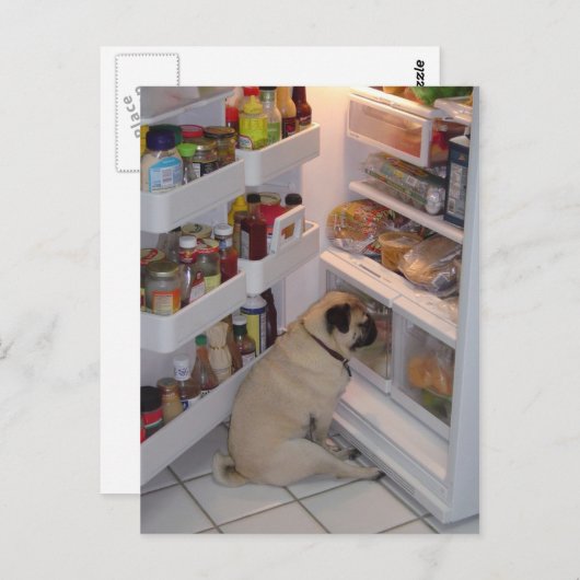 Howie Pee Pugpants Briefkaart (Voorkant / Achterkant)