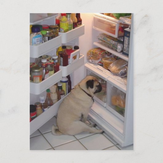 Howie Pee Pugpants Briefkaart (Voorkant)