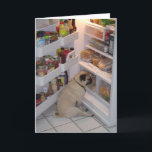 Howie Pee Pugpants Kaart<br><div class="desc">Bekijk deze onweerstaanbare foto van Howie Pee Pugpants - de foto is royaal geschonken door Howie's moeder,  Nancy Medina. Maaltijd is Howie's favoriete tijd van de dag en voor Howie is de maaltijd de hele dag lang.</div>