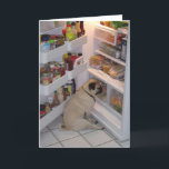 Howie Pee Pugpants Kaart<br><div class="desc">Bekijk deze onweerstaanbare foto van Howie Pee Pugpants - de foto is royaal geschonken door Howie's moeder,  Nancy Medina. Maaltijd is Howie's favoriete tijd van de dag en voor Howie is de maaltijd de hele dag lang.</div>