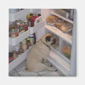 Howie Pee Pugpants Magneet (Voorkant)