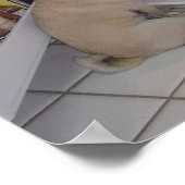 Howie Pee Pugpants Raids the Fridge Poster (Hoek)