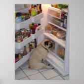 Howie Pee Pugpants Raids the Fridge Poster (Voorkant)